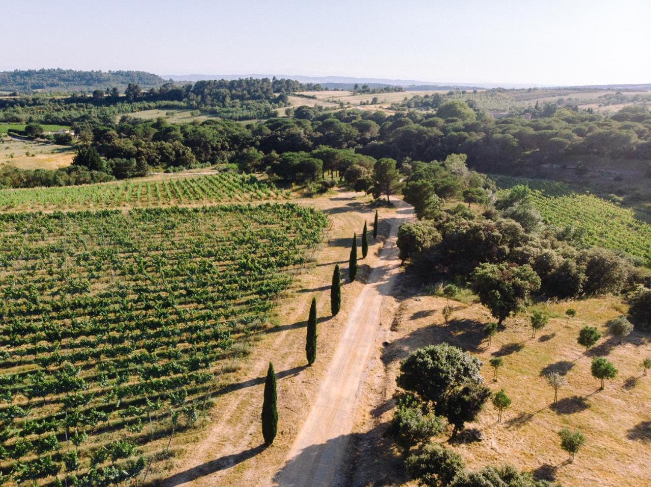 Domaine De Cazaban Διαμέρισμα Villegailhenc Εξωτερικό φωτογραφία