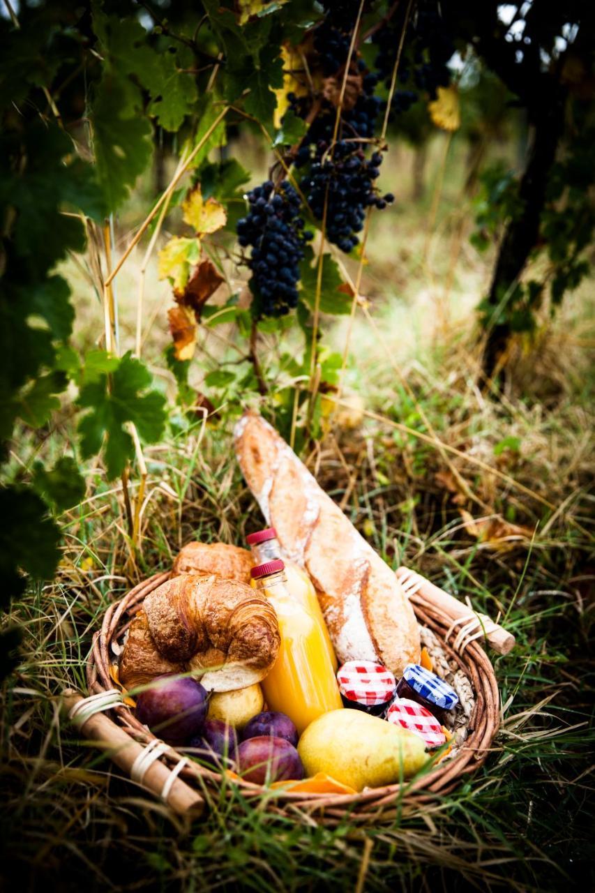 Domaine De Cazaban Διαμέρισμα Villegailhenc Εξωτερικό φωτογραφία
